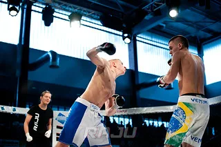 Raju 8, Dremljuga (37)