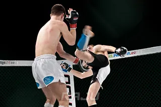 Raju 8, Dremljuga (25)