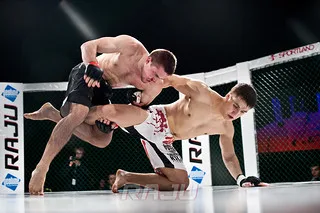 Raju 8, Dremljuga (50)