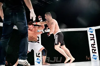 Raju 8, Dremljuga (79)