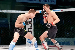 Raju 9 am, Dremljuga (47)