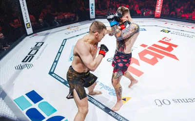 Evecon RAJU 19: matšid