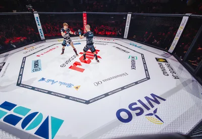 Evecon RAJU 19: matšid