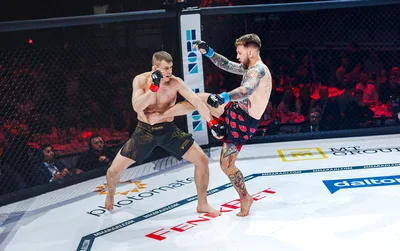 Evecon RAJU 19: matšid