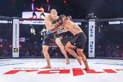 Evecon RAJU 19: matšid