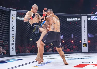 Evecon RAJU 19: matšid