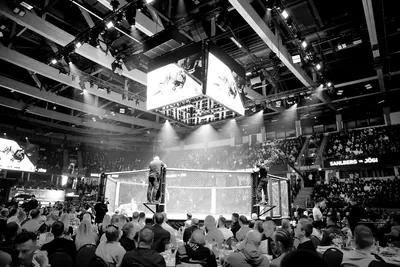 Evecon RAJU 19: publik (Ott Raud)