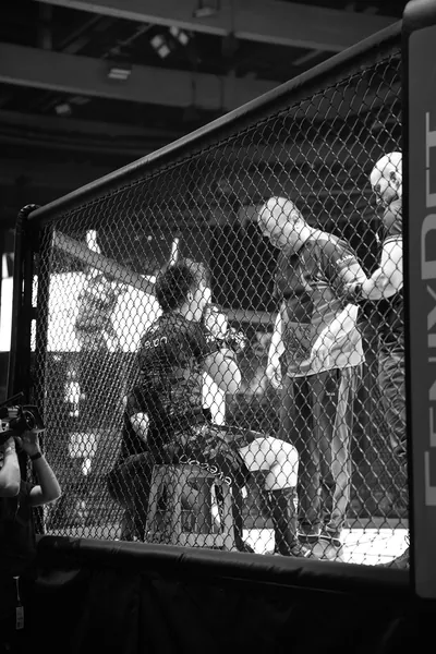 Evecon RAJU 19: publik (Ott Raud)