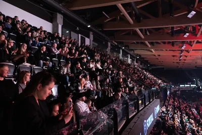 Evecon RAJU 19: publik (Ott Raud)