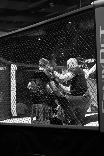 Evecon RAJU 19: publik (Ott Raud)