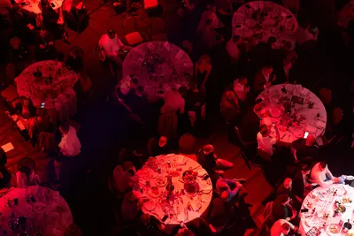 Evecon RAJU 20 – Audience